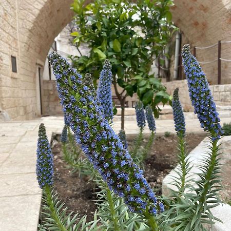 פולינאנו א מארה Lamanna House מראה חיצוני תמונה