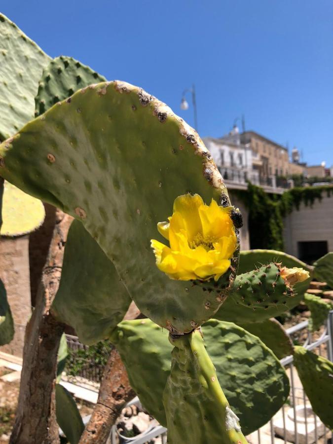 פולינאנו א מארה Lamanna House מראה חיצוני תמונה