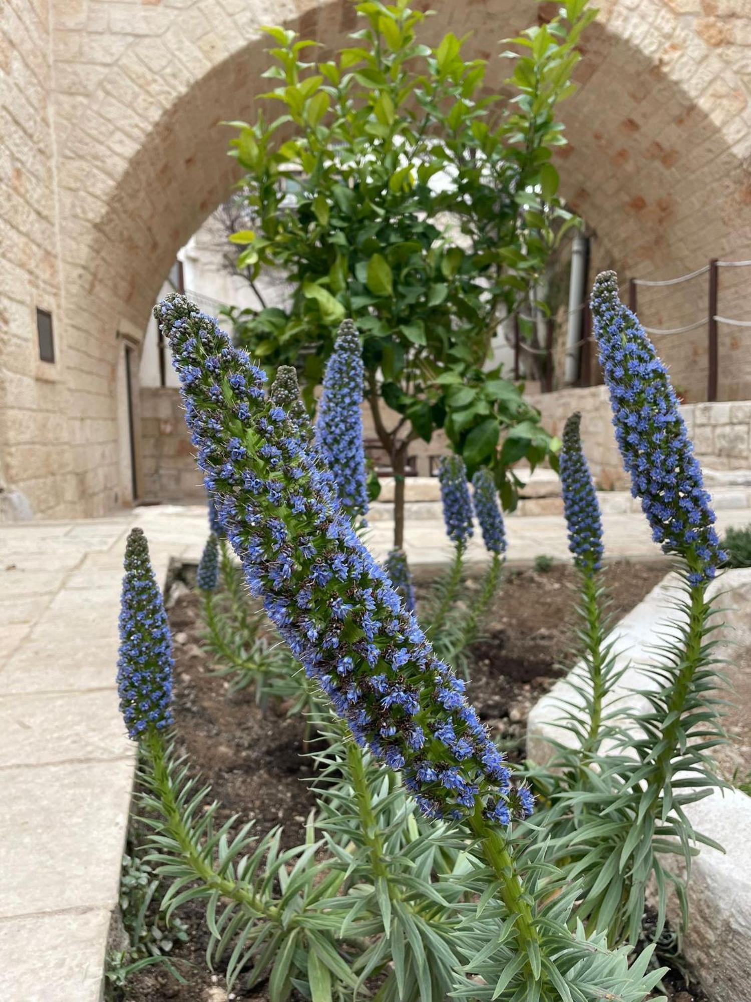 פולינאנו א מארה Lamanna House מראה חיצוני תמונה
